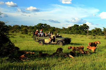 Enjoy an indelible treat with a visit to the Kruger National Park and Blyde River Canyon