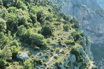 Private Day Trip to Manosque Valensole Moustiers Ste Marie and Lake Ste Croix from Nice