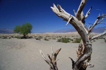 Gita di un giorno nella Valle della Morte da Las Vegas