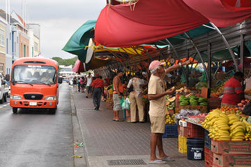 Complete Island Tour of Curacao