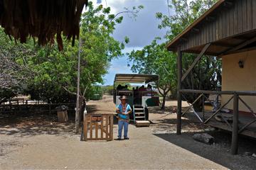 Curacao Outdoor Activities