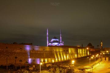 Egyptian Museum and Alabaster Mosque Tour