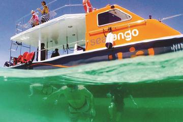 Fun Boat Snorkeling and Island Visit from Kota Kinabalu