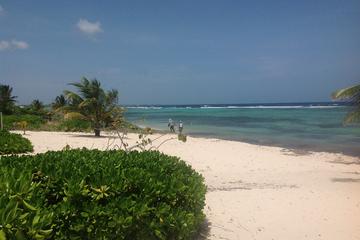Cayman Islands Eastern District Highlights Tour