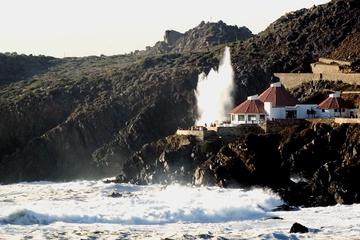 La Bufadora Tour in Baja California