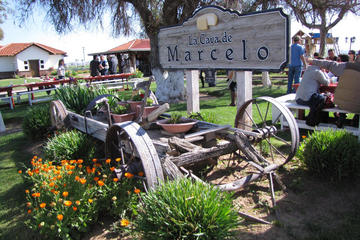Ojos Negros Valley Wine and Cheese Route Tour in Baja California