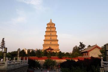 All Inclusive Xi'an Botique Tour With A Private Guide