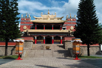 From Guangzhou: Full-Day Shenzhen Sightseeing with Lunch Inclusive