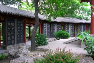 One Day Historic Tour of Shaanxi Provincial History Museum - Xi'an Museum - Stele Forest Museum