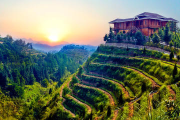 Private Day Tour: Anxi Tea Garden And Hongen Rock From Xiamen