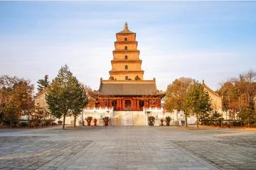 Private Tour: Terracotta Warriors, Shaanxi History Museum, and Big Wild Goose Pagoda