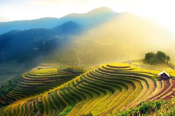Rice Terraces Sightseeing and Minority Village Visiting From Guilin