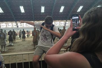 Small Group Tour: Museum of Qin Terracotta Army and Tang Dynasty Dance Show in Xi'an