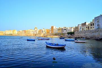 Trapani city centre and Saltpans Reserve