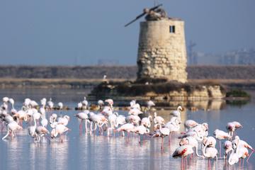 Trapani Saltpans Reserve