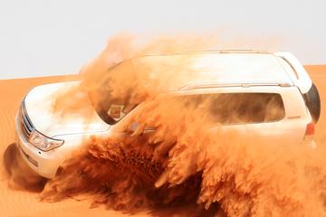Dubai Morning City Tour with Evening Safari Adventure and BBQ Dinner