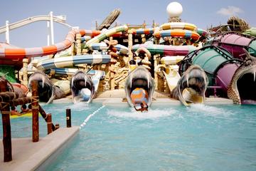 Full Day Abu Dhabi City Tour With Yas Water World Pickup and Drop-off included