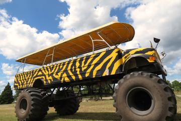 Monster Truck through the Orange Groves from Orlando