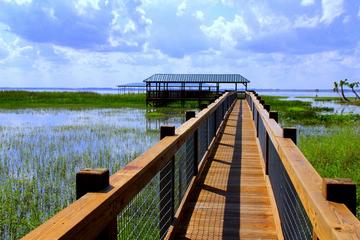 Orlando Wildlife Tour: Airboat Ride and Gatorland Combo Including Transport