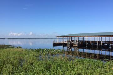 Wild Florida Adventure Package Tour