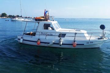 A Secret Bay Swimming with Snorkeling and Fishing Family Tour
