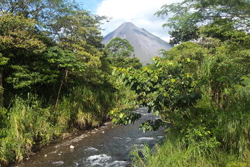 Combo Tour: Hanging Bridges, La Fortuna Waterfall,  Arenal Volcano Hike and Paradise Hot Springs