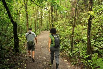 Combo Tour: Hanging Bridges, La Fortuna Waterfall, Arenal Volcano Hike