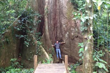 Cinco Ceibas Rainforest Reserve and Adventure Park from San Jose