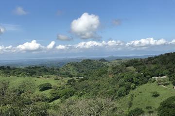 Full Day Monteverde Cloud Forest Tour from San Jose