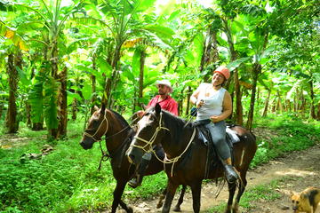 Horseback Riding and Banana Plantation Tour from La Cruz