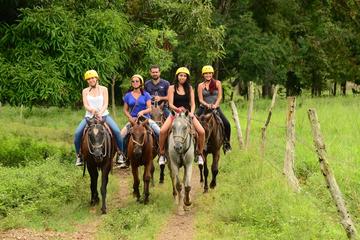 Los Sueños Horseback Riding from Jaco