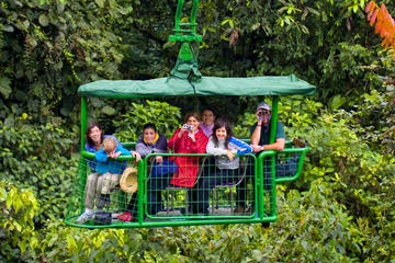 Rain Forest Aerial Tram From San Jose