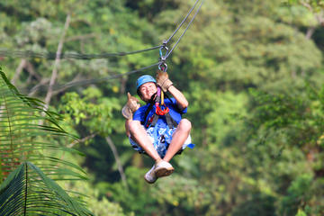 Rainforest Canopy Tour from San Jose