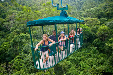 Small-Group Tour: Pacific Rainforest Aerial Tram and Nature Walk from Jaco