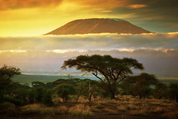 WILD PHOTO EXPEDITION  KENYA