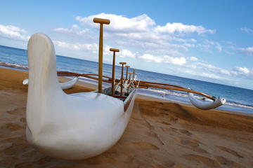 Cultural Outrigger Canoe and Turtle Tour