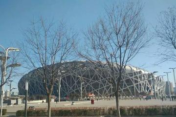 Beijing in a Day: Olympic Park, Beijing Zoo, Hutong, and More