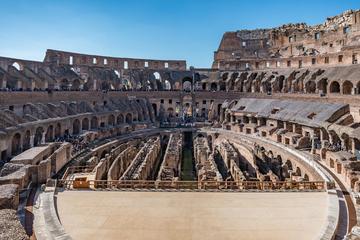 In-Depth Colosseum Tour with Roman Forum and Palatine Hill