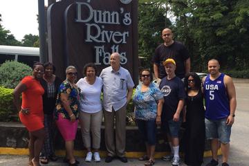 Private and Customized Tour to Dunn's River and or Secret Falls and Ocho Ros highlight from Montego Bay