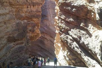 Full-Day Tour Cafayate Calchaqui Valleys with Wine