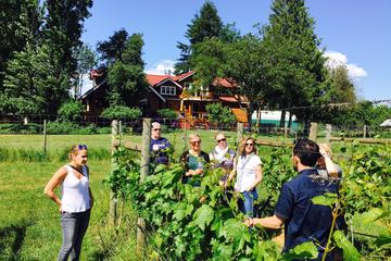 Victoria Wine Tour