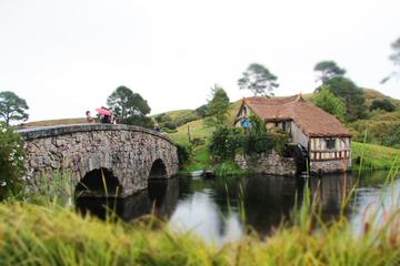 Private All Inclusive Round Trip Auckland to Hobbiton