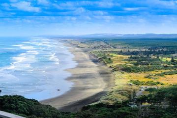Private Tour of Muriwai Beach and Gannet Colony from Auckland