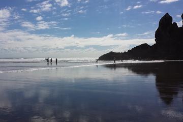 Private Tour of Piha and KiteKite Falls from Auckland