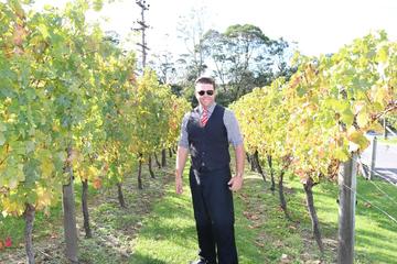 Private Tour of West Auckland's Kumeu Wine Trail