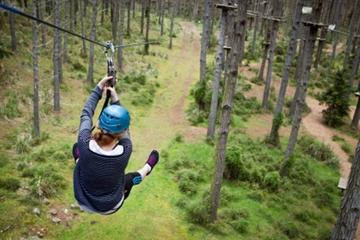 Round-Trip Private Transfer from Auckland to Tree Adventures