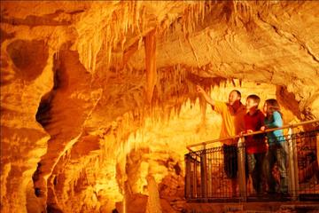 Round-Trip Private Transfer from Auckland to Waitomo