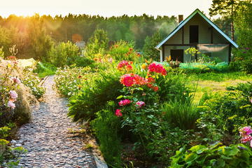 Private St Petersburg Countryside Trip