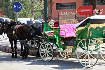 Marrakech Gardens by Caleche