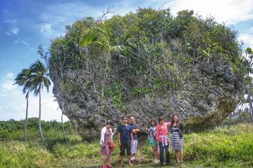 3-Hour Tongatapu West Coast Scenic Tour